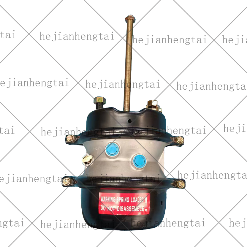 Factory Direct Sale T3030DCP Spring Brake Chamber Brake Pump Brake Wheel Cylinder